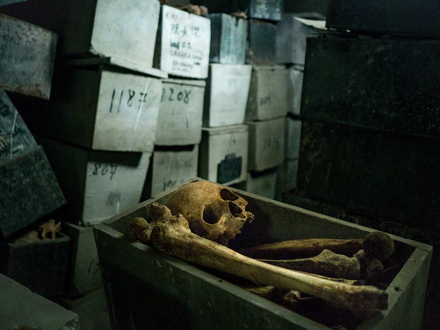 luis alarcon yellow last chinese in cuba photography of china 12 - Luis Alarcón | Documentary photography | Cuba | Chinese diaspora | Havana | Coolies - Luis Alarcón