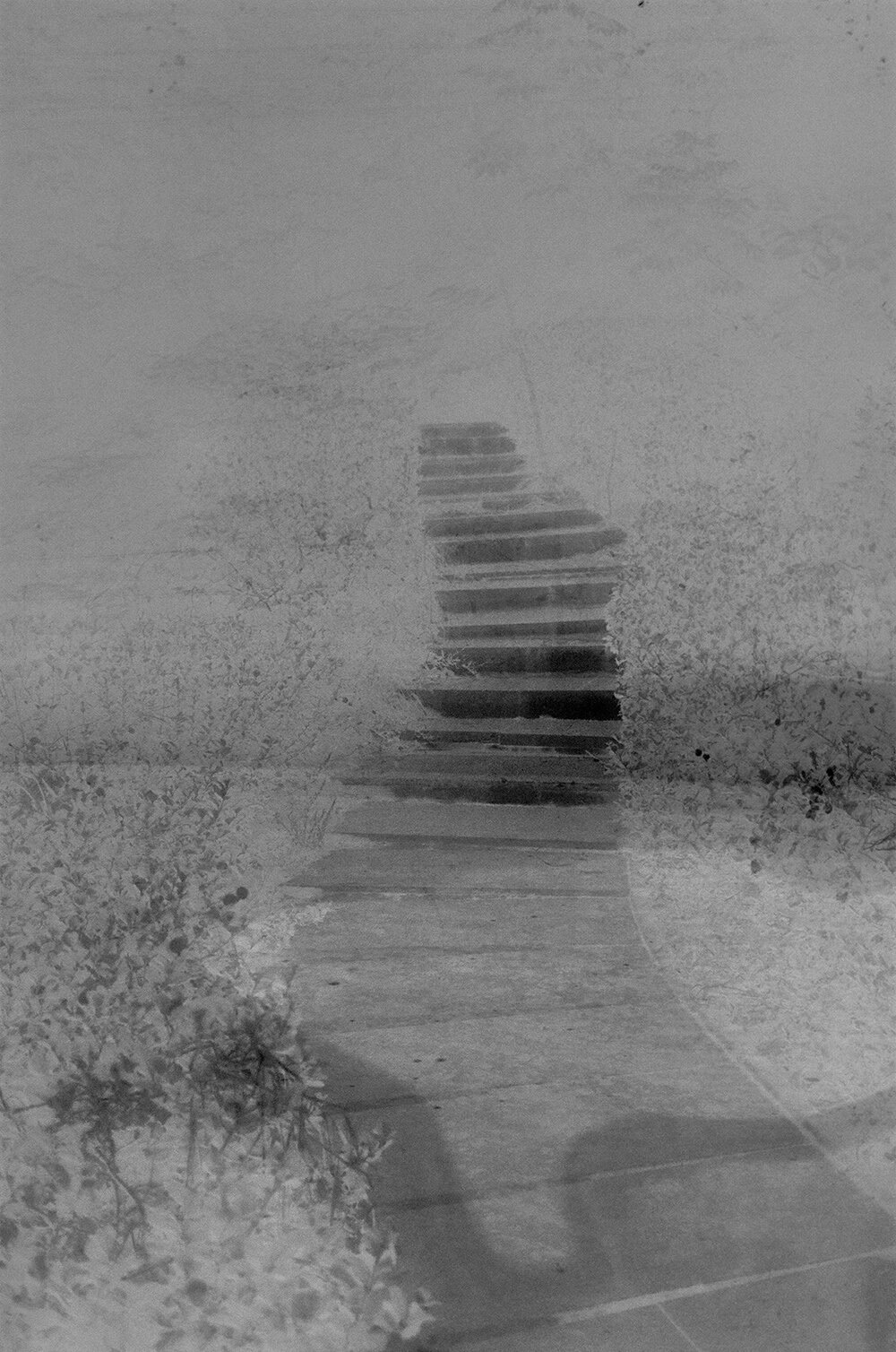 Wenxuan Wang 王文轩