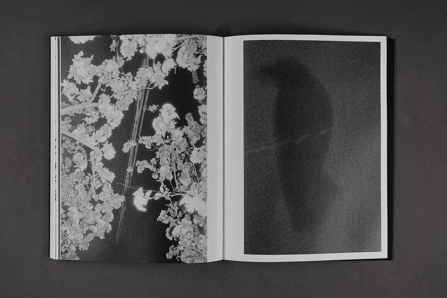 Zhang Zhizhou - Five Photographers