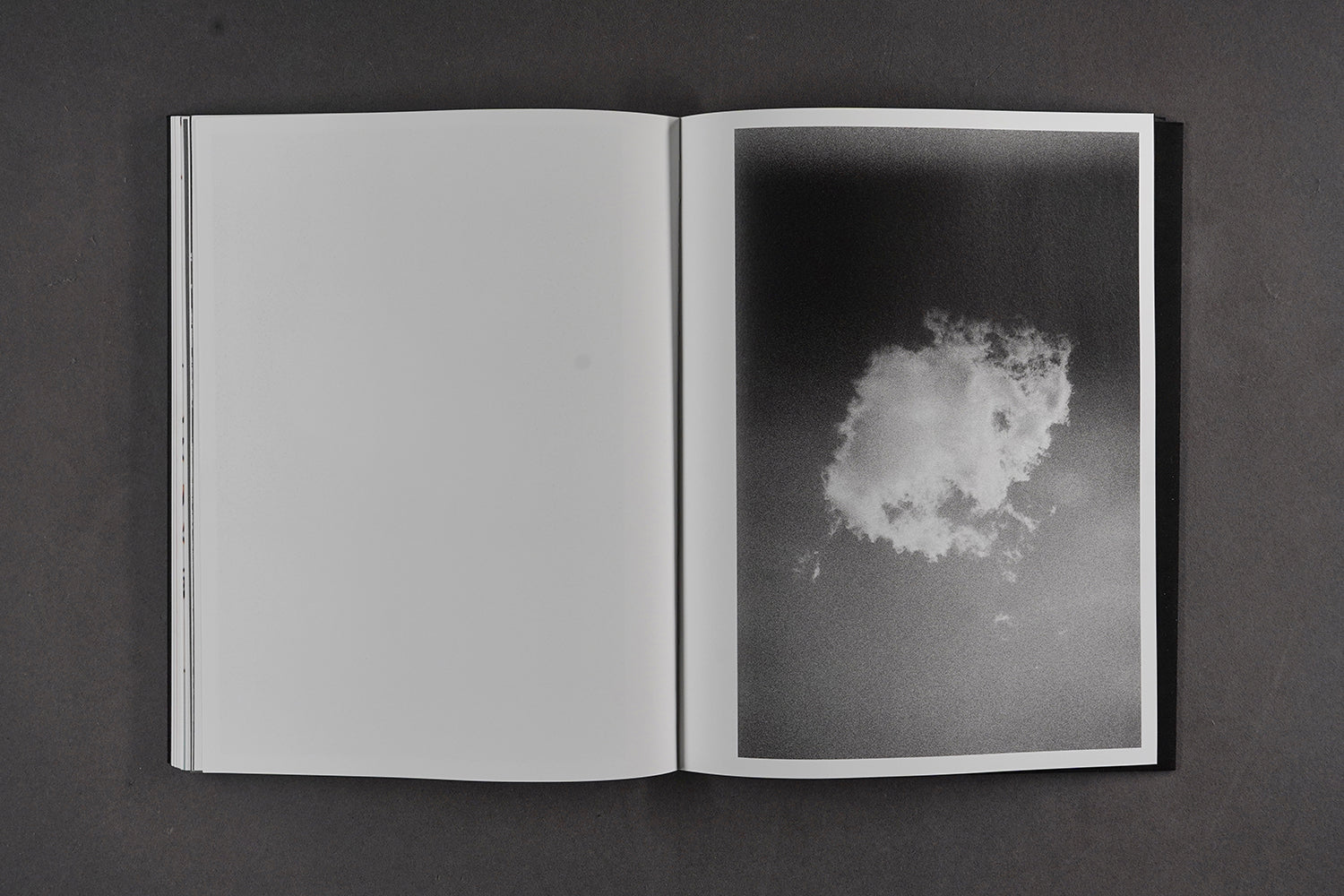 Zhang Zhizhou - Five Photographers