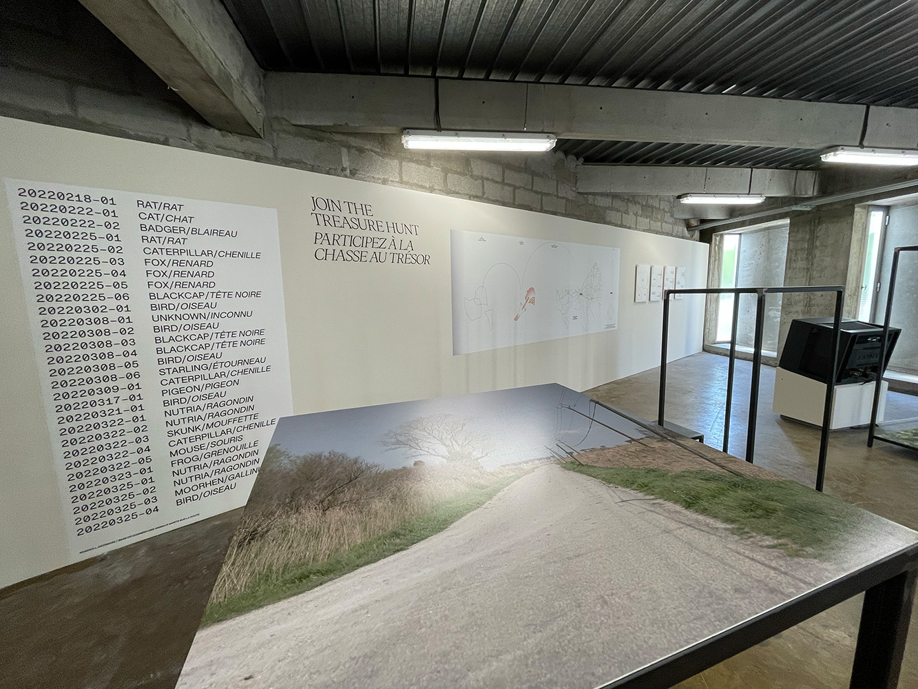 Les Rencontres de la photographie Arles 2023 Here Nere exhibition view Photography of China - Arles 2023 - Here Near |  - Rencontres d'Arles 2023 | A State of Consciousness