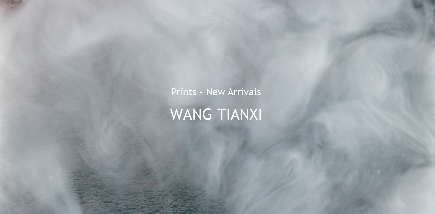 wang tianxi print sea - Banner Home |  - Home