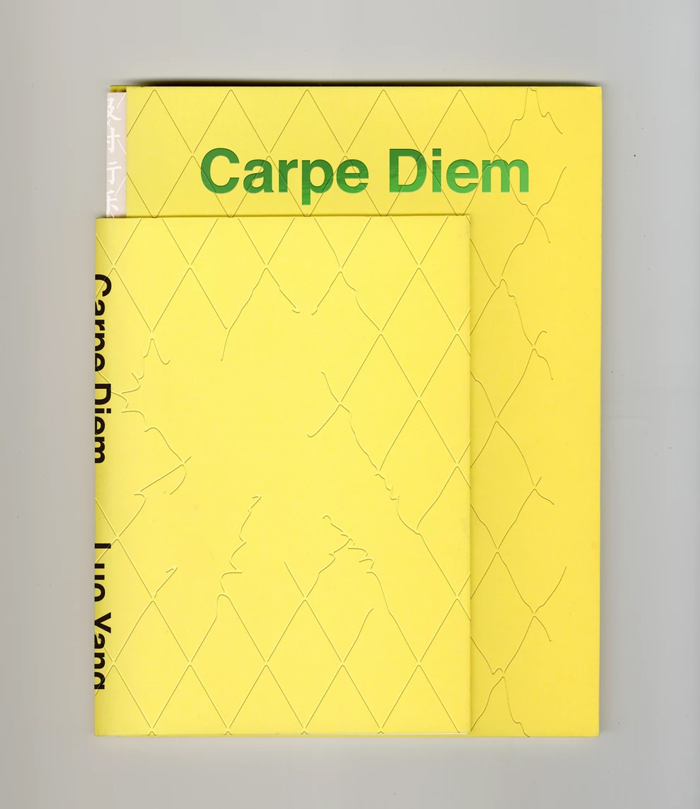 carpe diem cover - Carpe Diem - Book |  - Carpe Diem