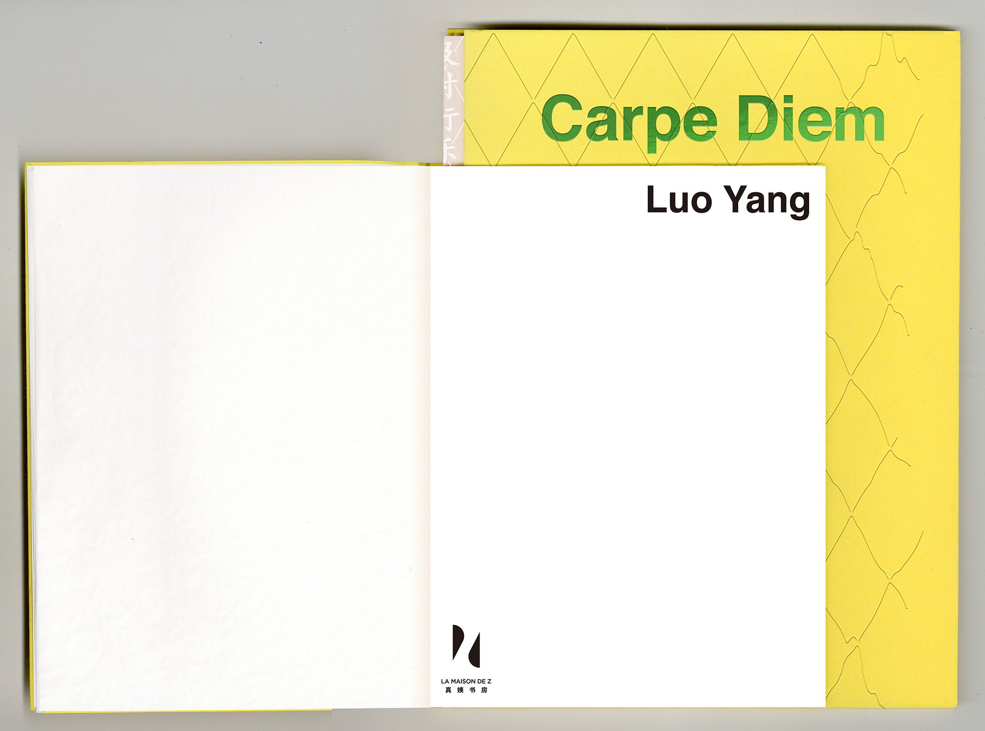 及时行乐 MockUp 02 - Carpe Diem - Book |  - Carpe Diem