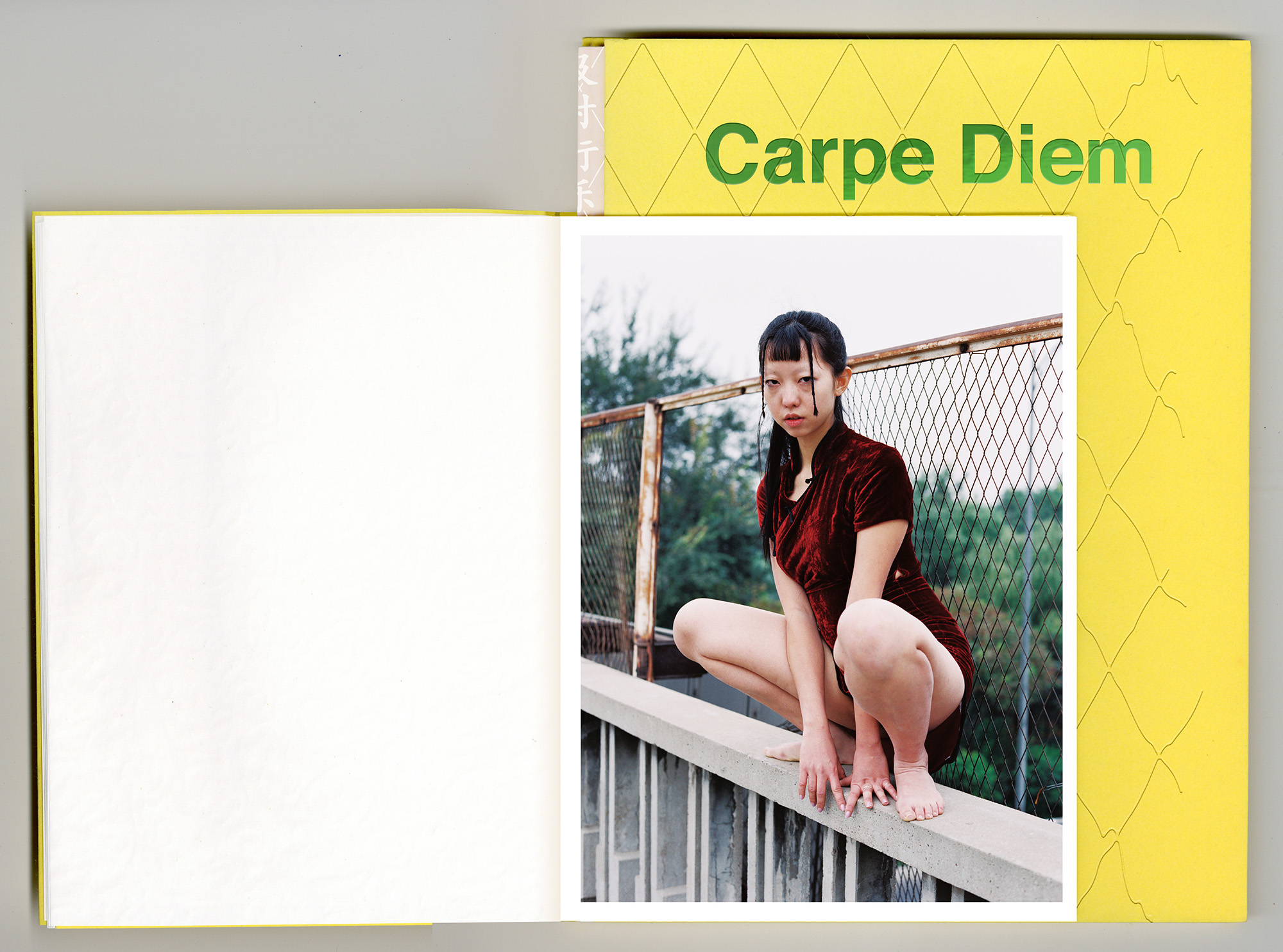 及时行乐 MockUp 03 - Carpe Diem - Book |  - Carpe Diem