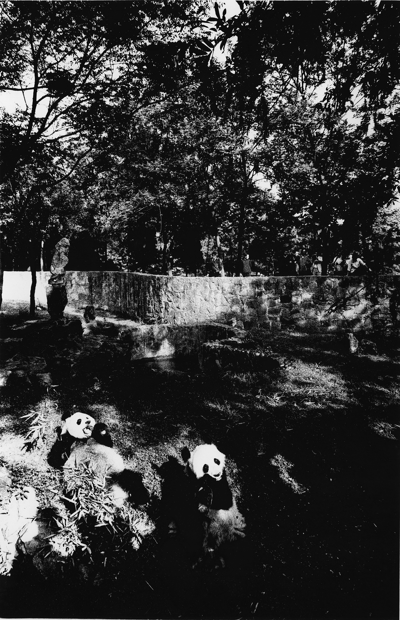 kazuo kitai china 1970s photography of china 68広州1973 - Kazuo Kitai |  - Kazuo Kitai