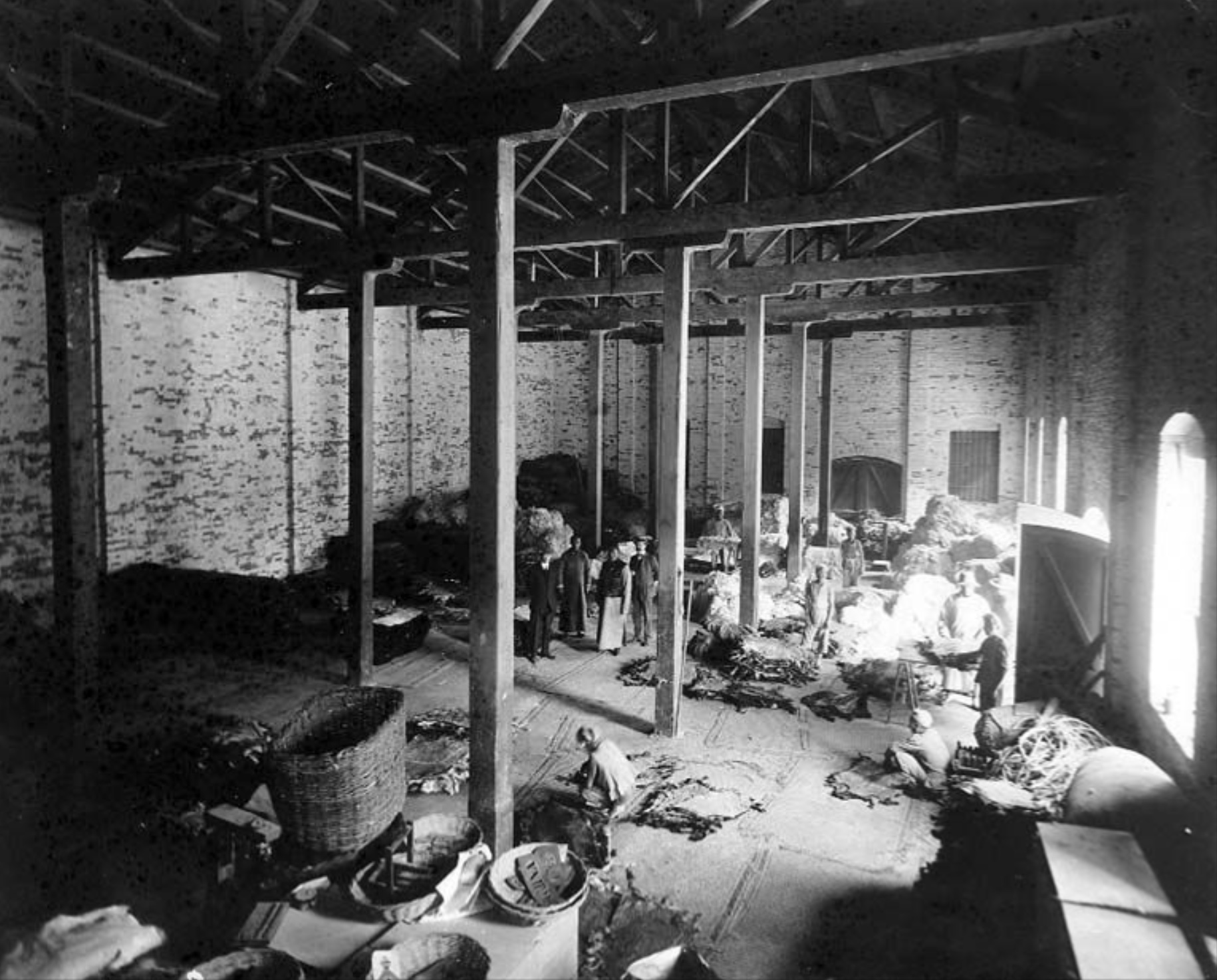 Preparing pelts for bailing in Chandless Company warehouse Tientsin China approximately 1930 - Robert Henry Chandless |  - Robert Henry Chandless