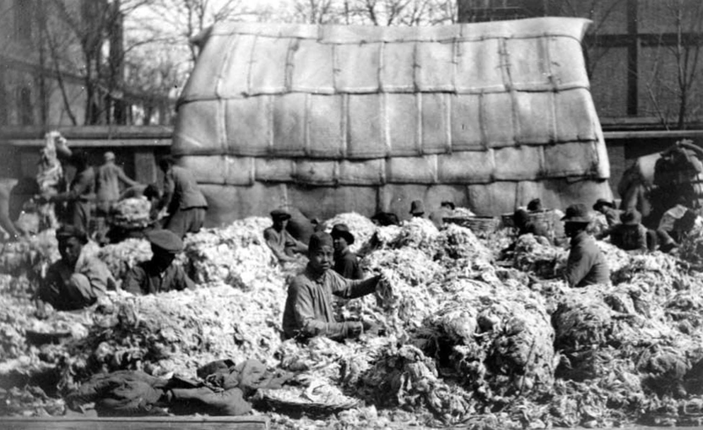Sorting wool at Chandless and Company Tientsin China approximately 1930 - Robert Henry Chandless |  - Robert Henry Chandless