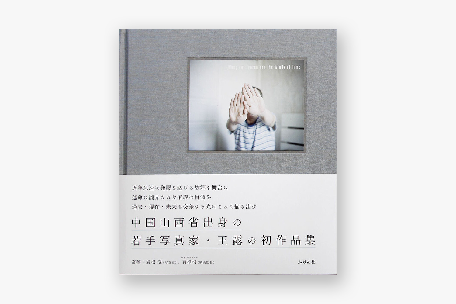 wang lu frozen are the winds of time book photography of china 1 cover