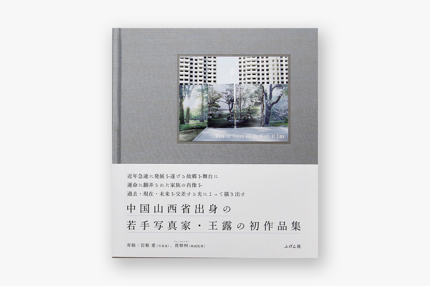 wang lu frozen are the winds of time book photography of china 2 cover - Frozen are the Winds of Time (A) |  - Frozen are the Winds of Time (A)