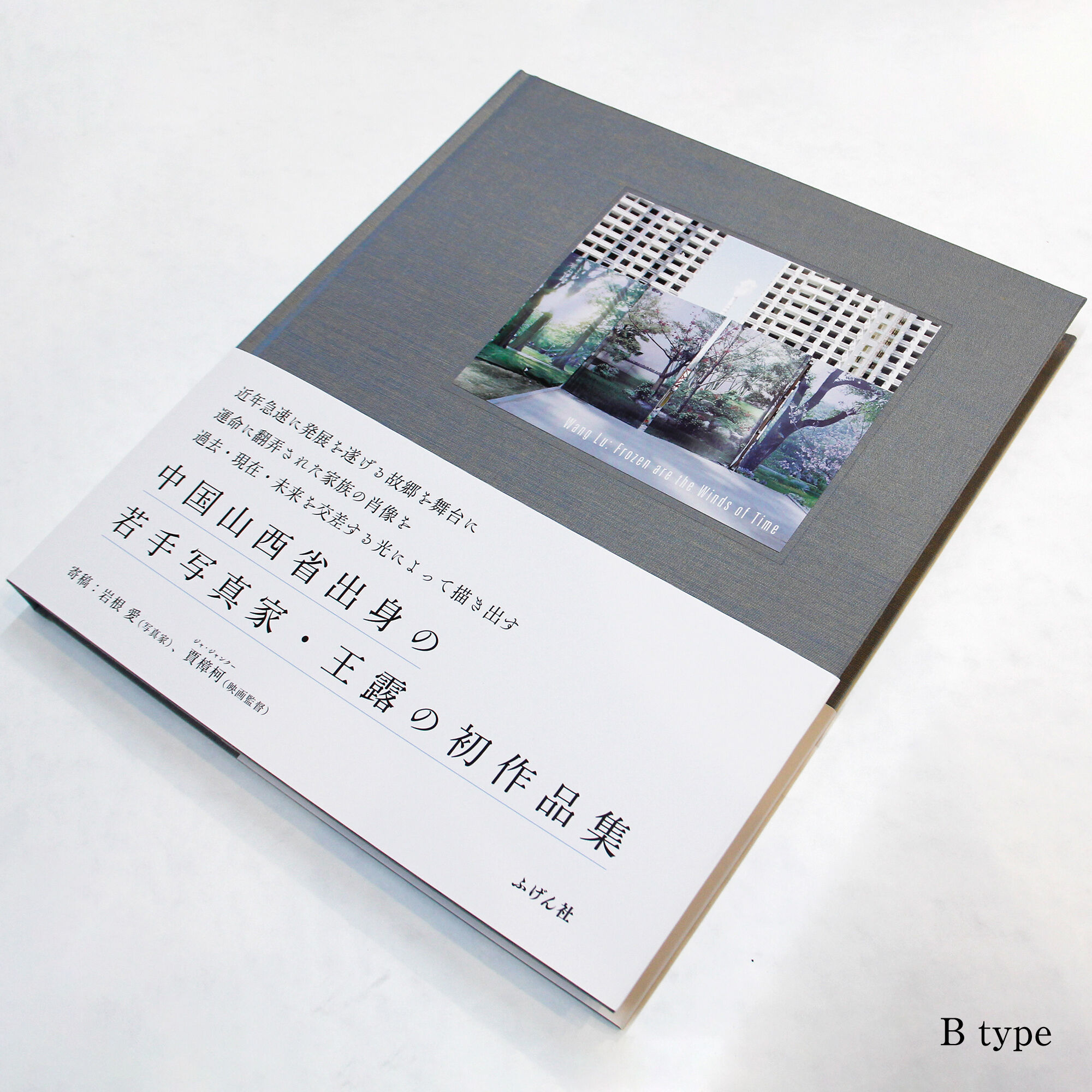 wang lu frozen are the winds of time book photography of china 61849cb2e0e72ffd919e - Frozen are the Winds of Time (A) |  - Frozen are the Winds of Time (A)