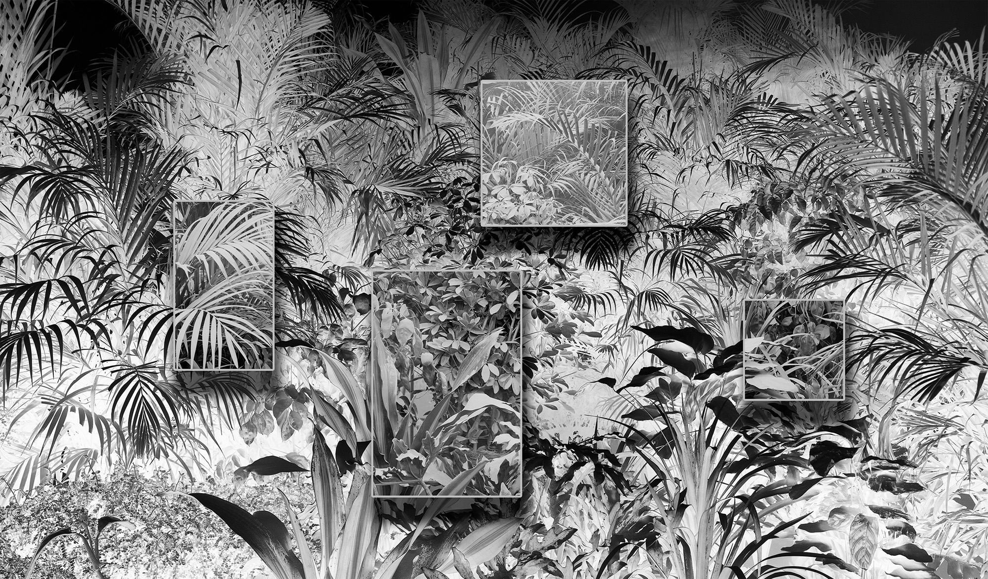 Ji Zhou Plants Covered in Dust Wallpaper archival pigment prints wooden frames 353x602cm 2017 - Ji Zhou |  - Ji Zhou 计洲