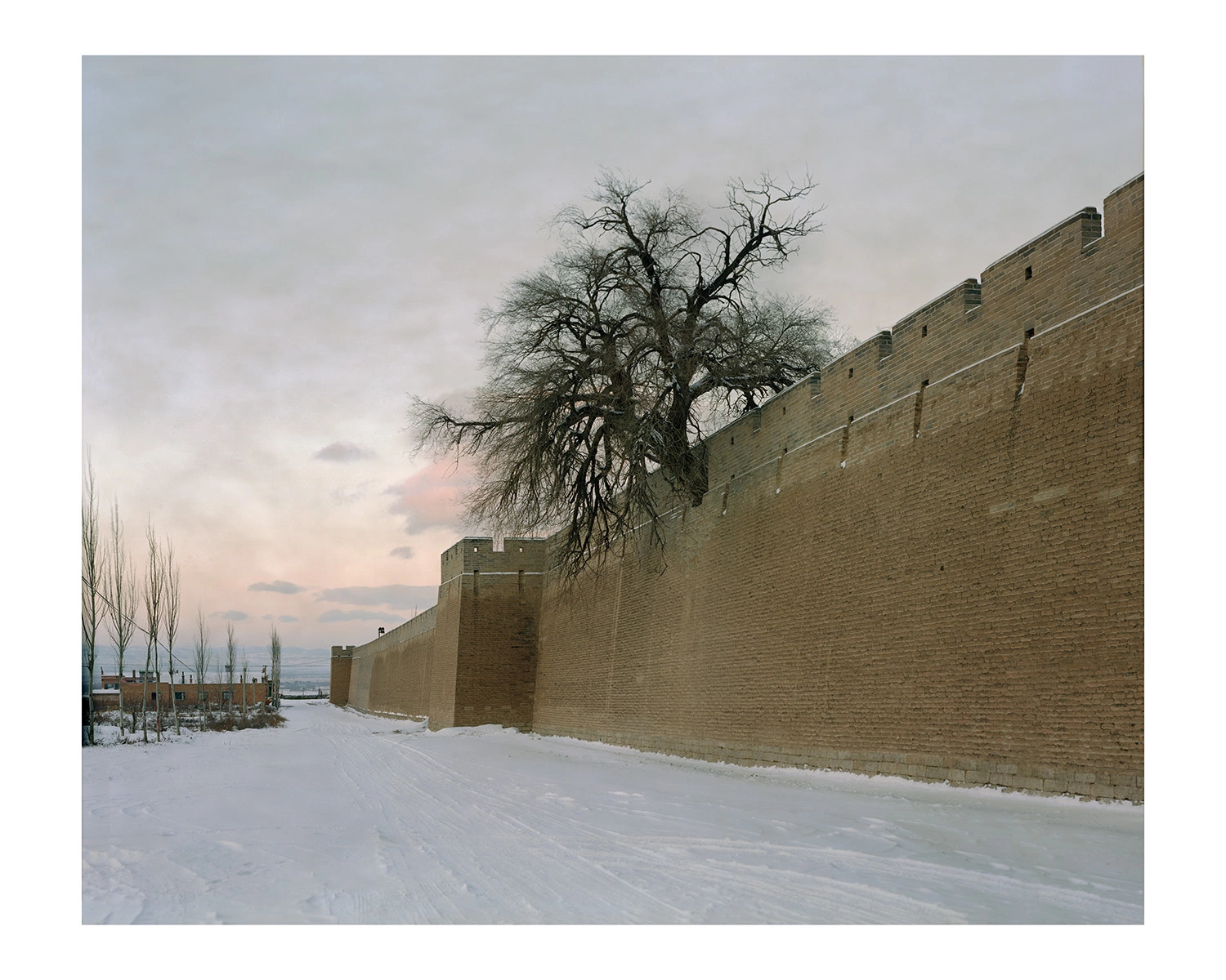 Muge99 mu ge photography of china - Behing The Wall(2013-2017) | Color Photography | Home | Ash | Behind the wall | Landscape photography | Portrait photography - Mu Ge 木格