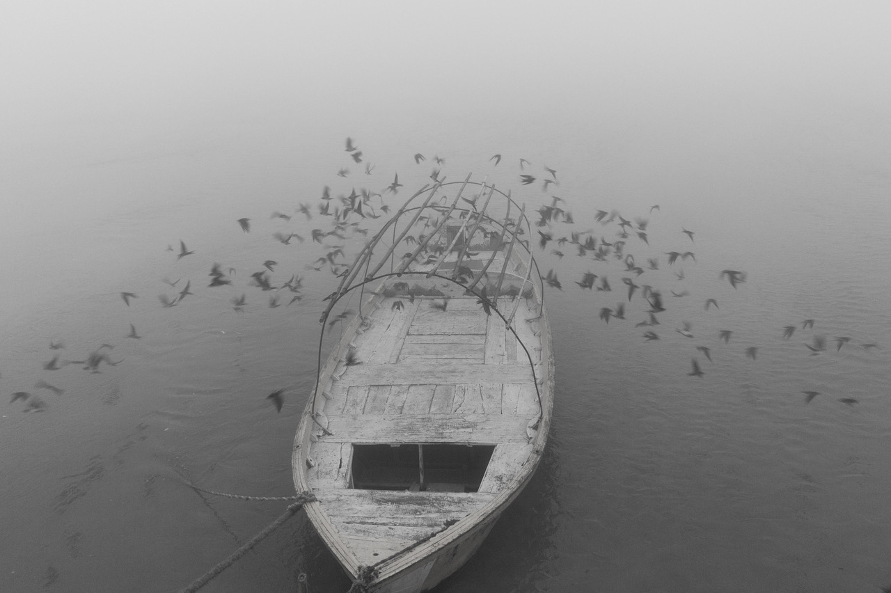 Palani Mohan White bellied drongos flock over an old wooden boat in the Ganges Varanasi P27 India 2005 Courtesy of Blue Lotus Gallery - Watch with Wonder Exhibition 23 |  - Exhibition Highlight: \