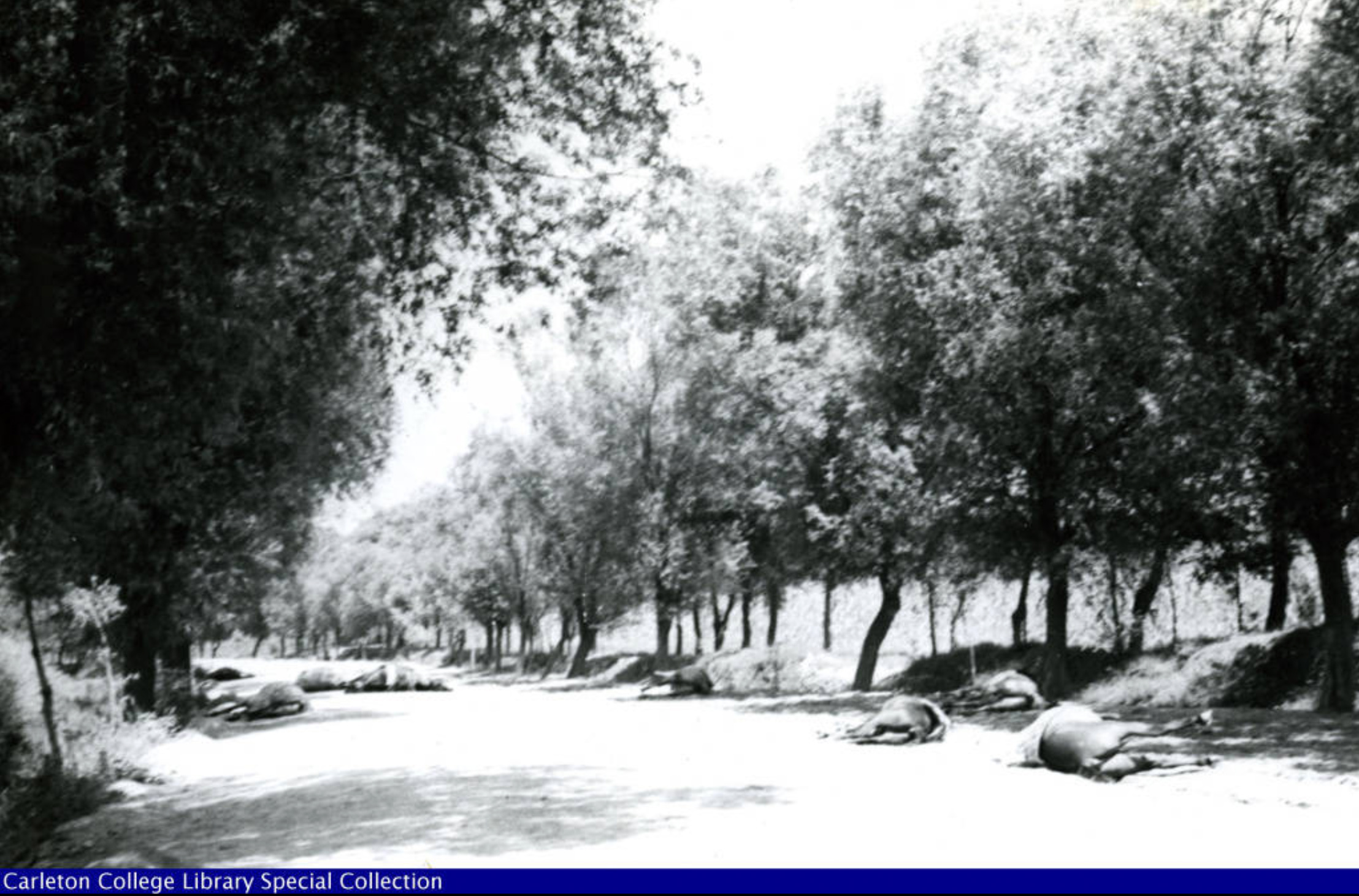 Haldore Hanson s China Collection (1937 1938) Battle scene in the night of July 27 28 1937 on Nanyuan road - Haldore Hanson |  - Haldore Hanson