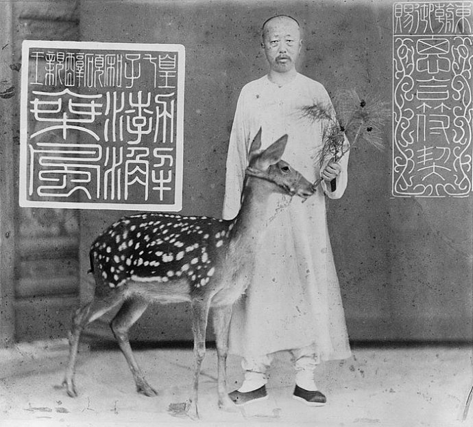 liang shitai 1870s portrait deer photographyofchina